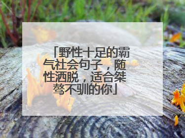 野性十足的霸气社会句子，随性洒脱，适合桀骜不驯的你