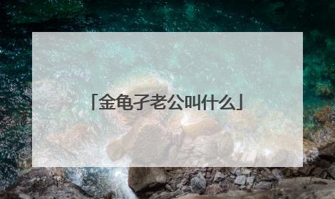 金龟孑老公叫什么