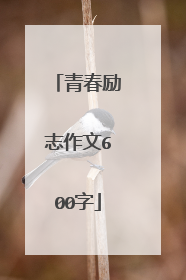 青春励志作文600字