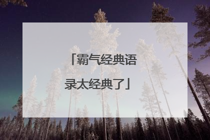 霸气经典语录太经典了