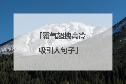 霸气超拽高冷吸引人句子