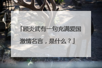 顾炎武有一句充满爱国激情名言，是什么？