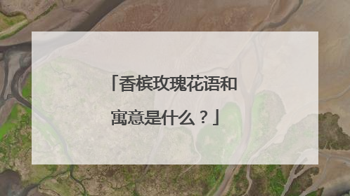 香槟玫瑰花语和寓意是什么？