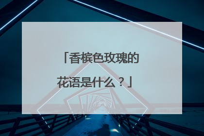 香槟色玫瑰的花语是什么？