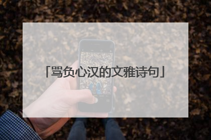 骂负心汉的文雅诗句