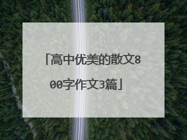 高中优美的散文800字作文3篇