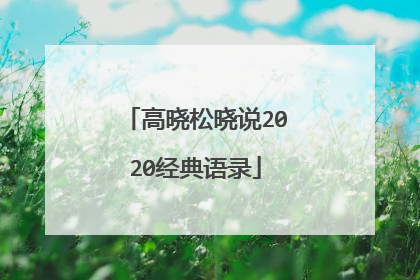 高晓松晓说2020经典语录