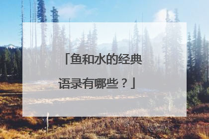 鱼和水的经典语录有哪些？