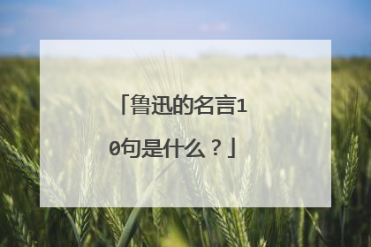 鲁迅的名言10句是什么？