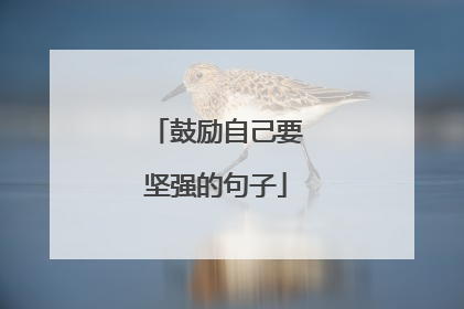 鼓励自己要坚强的句子