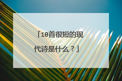 10首很短的现代诗是什么？