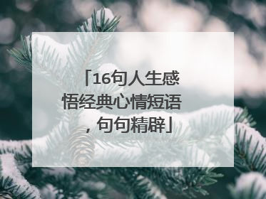 16句人生感悟经典心情短语，句句精辟