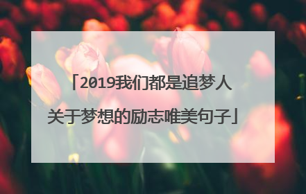 2019我们都是追梦人关于梦想的励志唯美句子