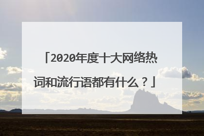 2020年度十大网络热词和流行语都有什么？