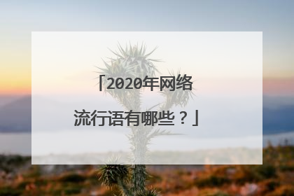 2020年网络流行语有哪些？