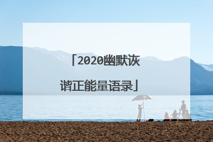 2020幽默诙谐正能量语录