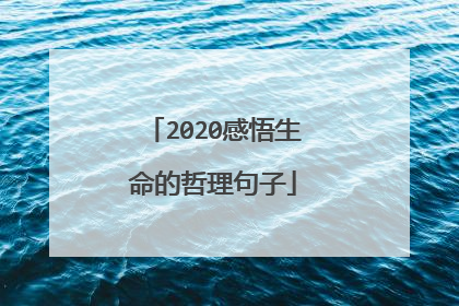 2020感悟生命的哲理句子