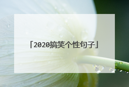 2020搞笑个性句子