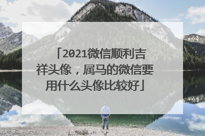 2021微信顺利吉祥头像，属马的微信要用什么头像比较好