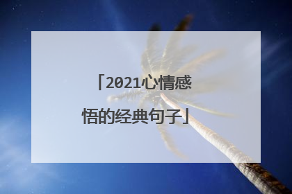 2021心情感悟的经典句子