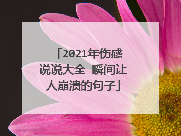 2021年伤感说说大全 瞬间让人崩溃的句子