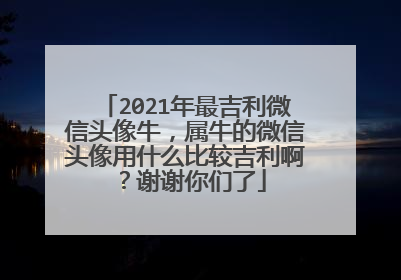 2021年最吉利微信头像牛，属牛的微信头像用什么比较吉利啊？谢谢你们了