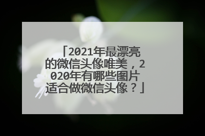 2021年最漂亮的微信头像唯美，2020年有哪些图片适合做微信头像？