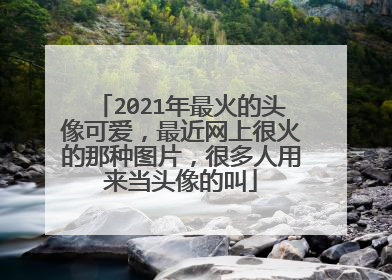 2021年最火的头像可爱，最近网上很火的那种图片，很多人用来当头像的叫