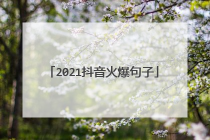 2021抖音火爆句子