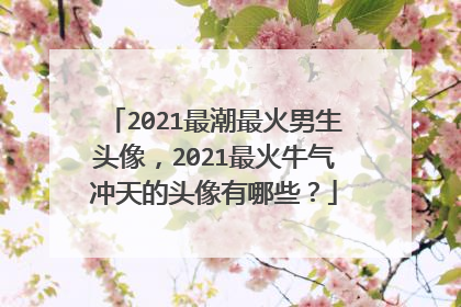 2021最潮最火男生头像，2021最火牛气冲天的头像有哪些？