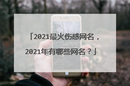 2021最火伤感网名，2021年有哪些网名？