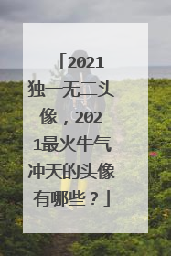 2021独一无二头像，2021最火牛气冲天的头像有哪些？