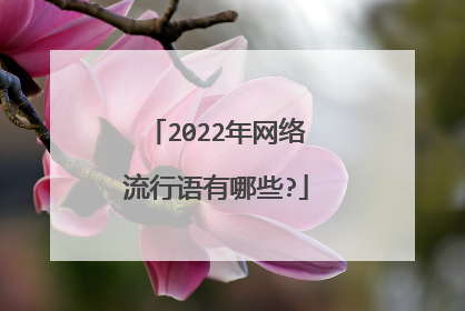 2022年网络流行语有哪些?