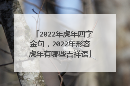 2022年虎年四字金句，2022年形容虎年有哪些吉祥语
