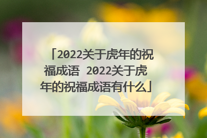 2022关于虎年的祝福成语 2022关于虎年的祝福成语有什么