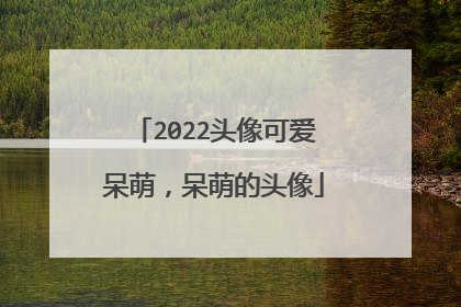 2022头像可爱呆萌，呆萌的头像