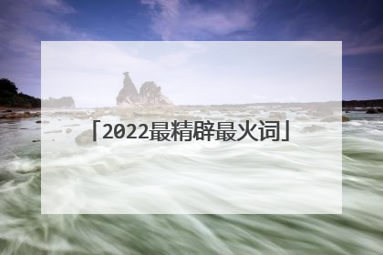 2022最精辟最火词