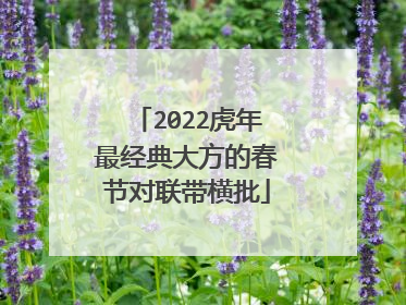 2022虎年最经典大方的春节对联带横批