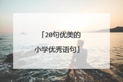 20句优美的小学优秀语句