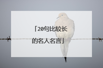 20句比较长的名人名言