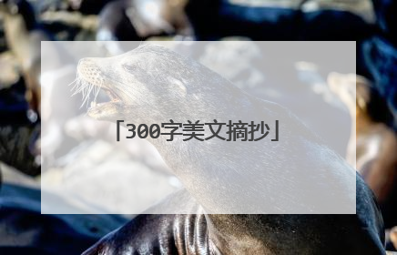 300字美文摘抄