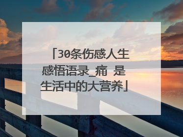 30条伤感人生感悟语录_痛 是生活中的大营养