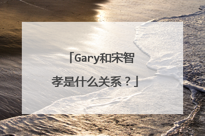 Gary和宋智孝是什么关系？