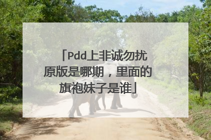 Pdd上非诚勿扰原版是哪期，里面的旗袍妹子是谁