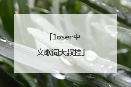 loser中文歌词大叔控