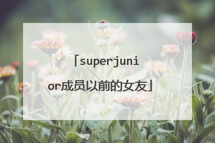 superjunior成员以前的女友