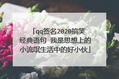 qq签名2020搞笑经典语句 我是思想上的小流氓生活中的好小伙