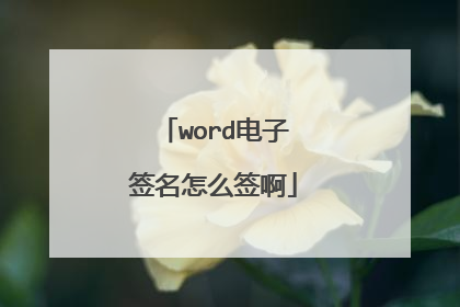 word电子签名怎么签啊